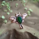 Anbruch eines neuen Tages: Ring mit Motte und Aventurin 17,5